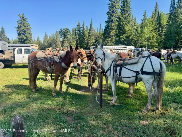 a view of group of people