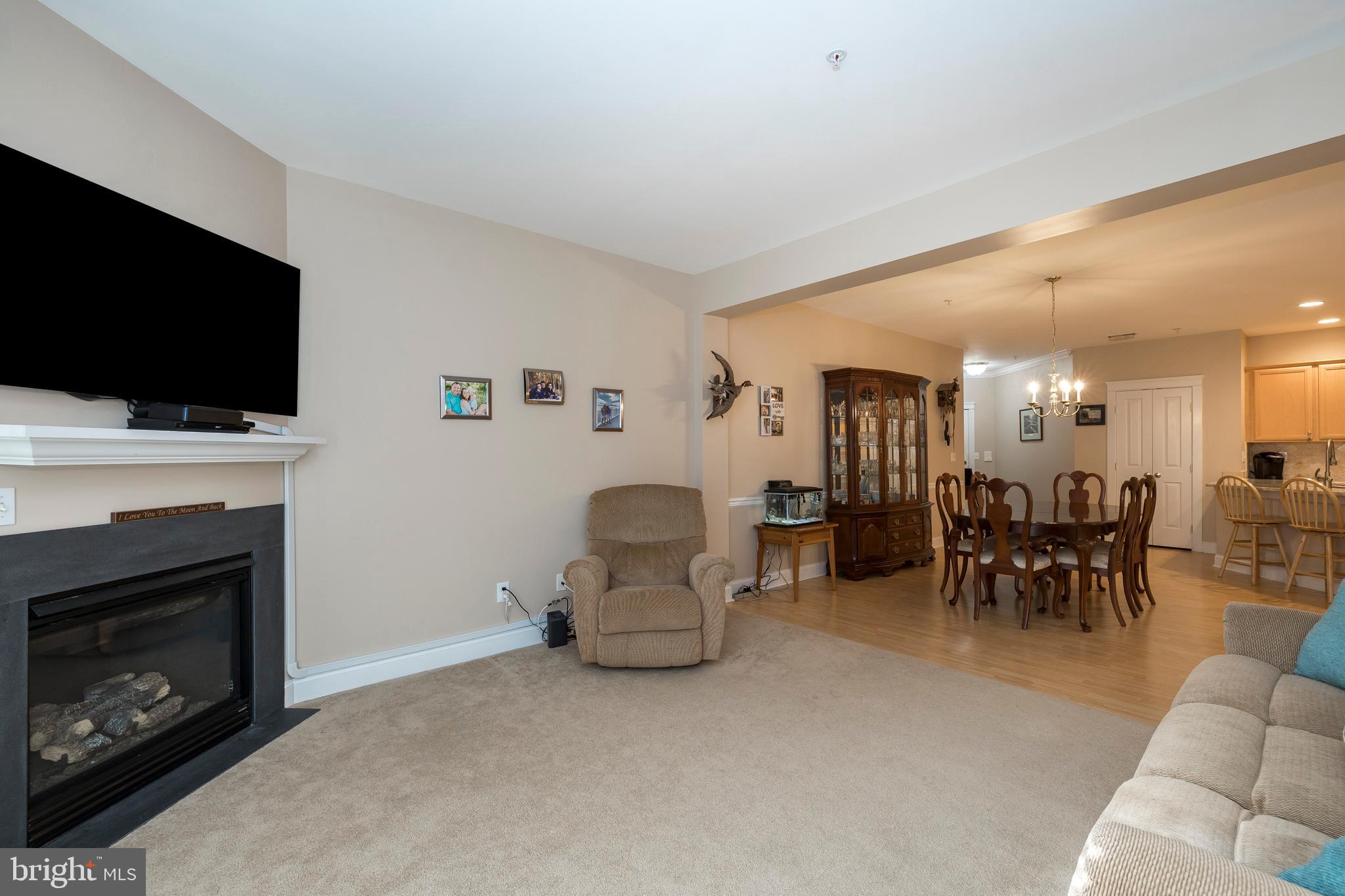 162 Bucktown Xing Road, Unit 41B Pottstown, PA 19465 - Photo 9 of 29 Corner gas fireplace