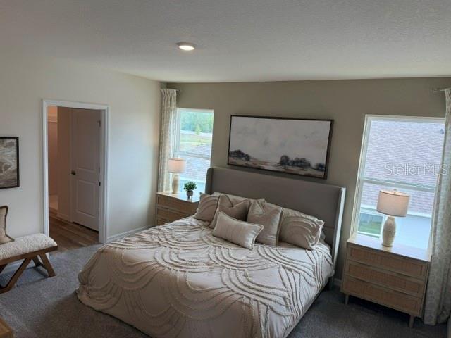 10507 Tucker Road Weeki Wachee, FL 34613 - Photo 23 of 39