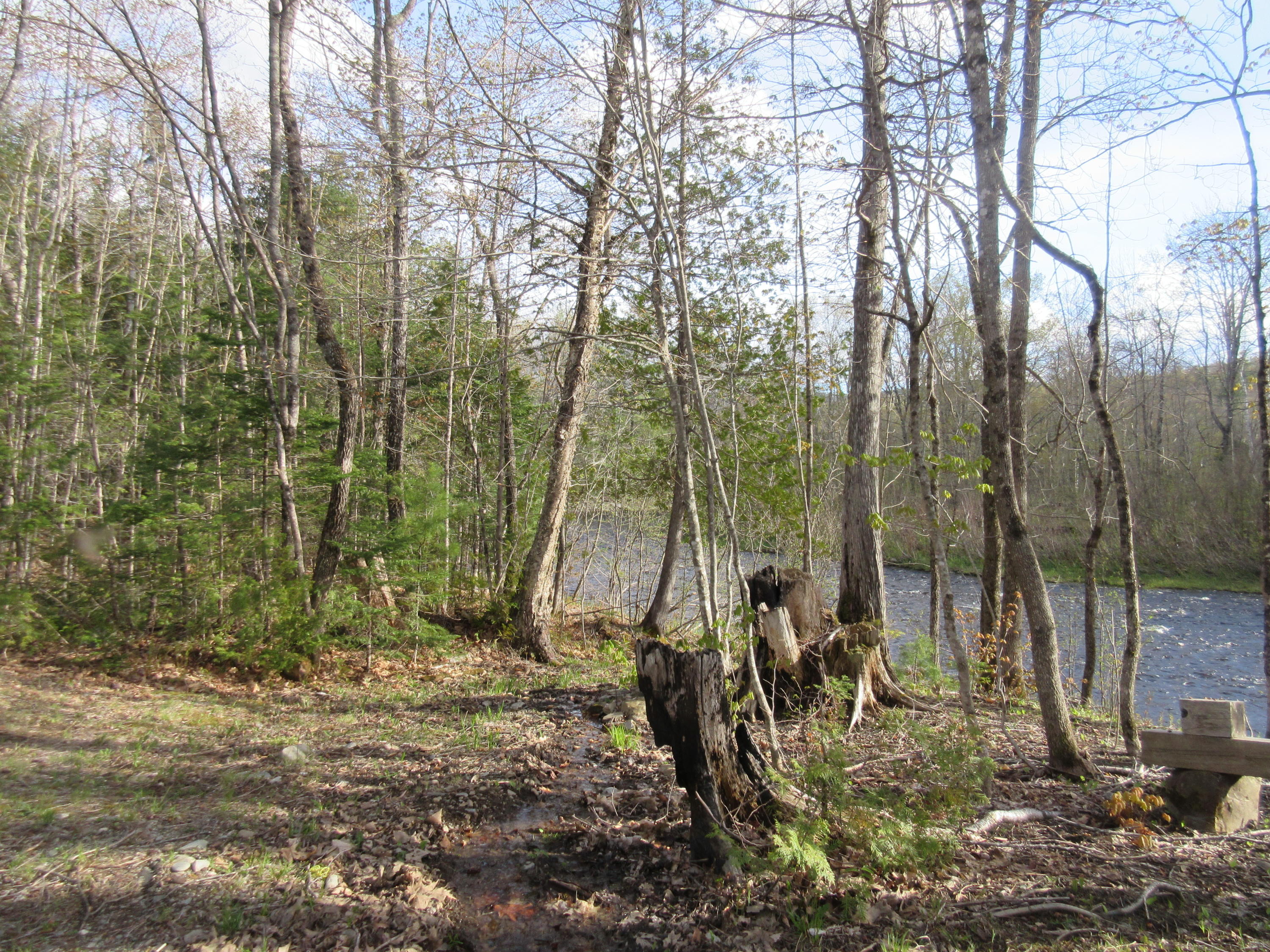 31.31 North Blanchard Shirley Road Abbot, ME 04406 - Photo 13 of 15 IMG_2168