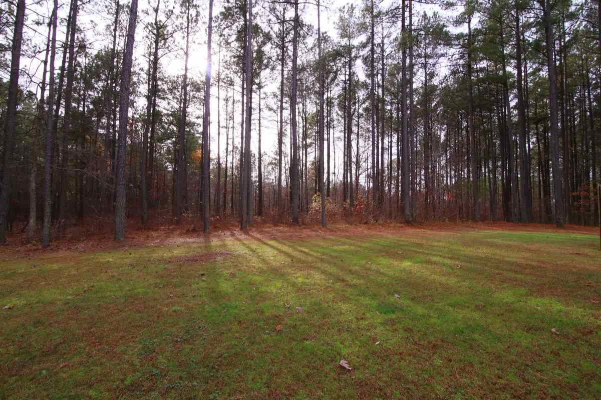 101 Moray Drive Raleigh, NC 27613 - Photo 24 of 25 Photo 24