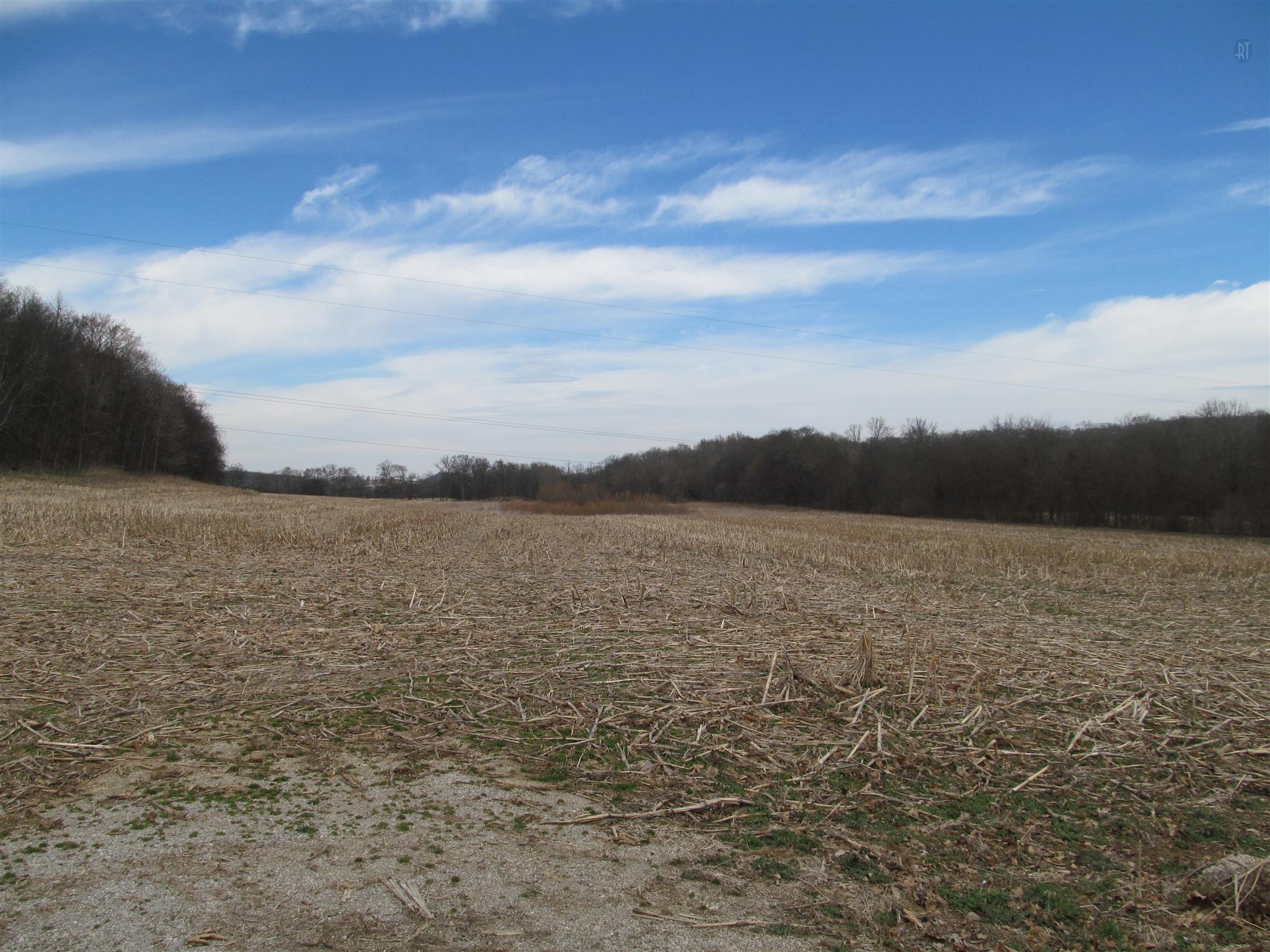 0 Lusk Road Columbia, TN 38401 - Photo 1 of 4 Gallery Image 1