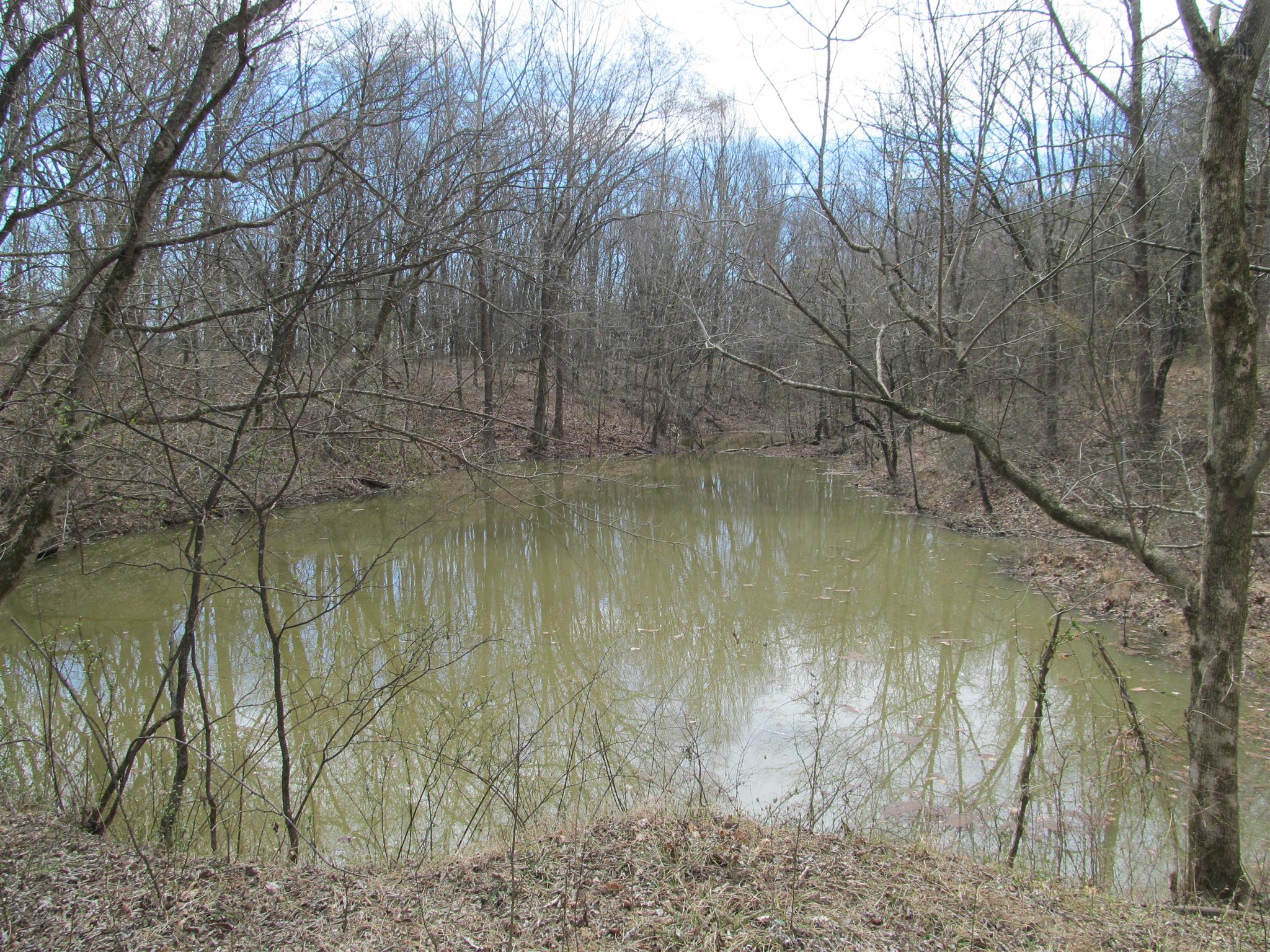 0 Lusk Road Columbia, TN 38401 - Photo 2 of 4 Gallery Image 2