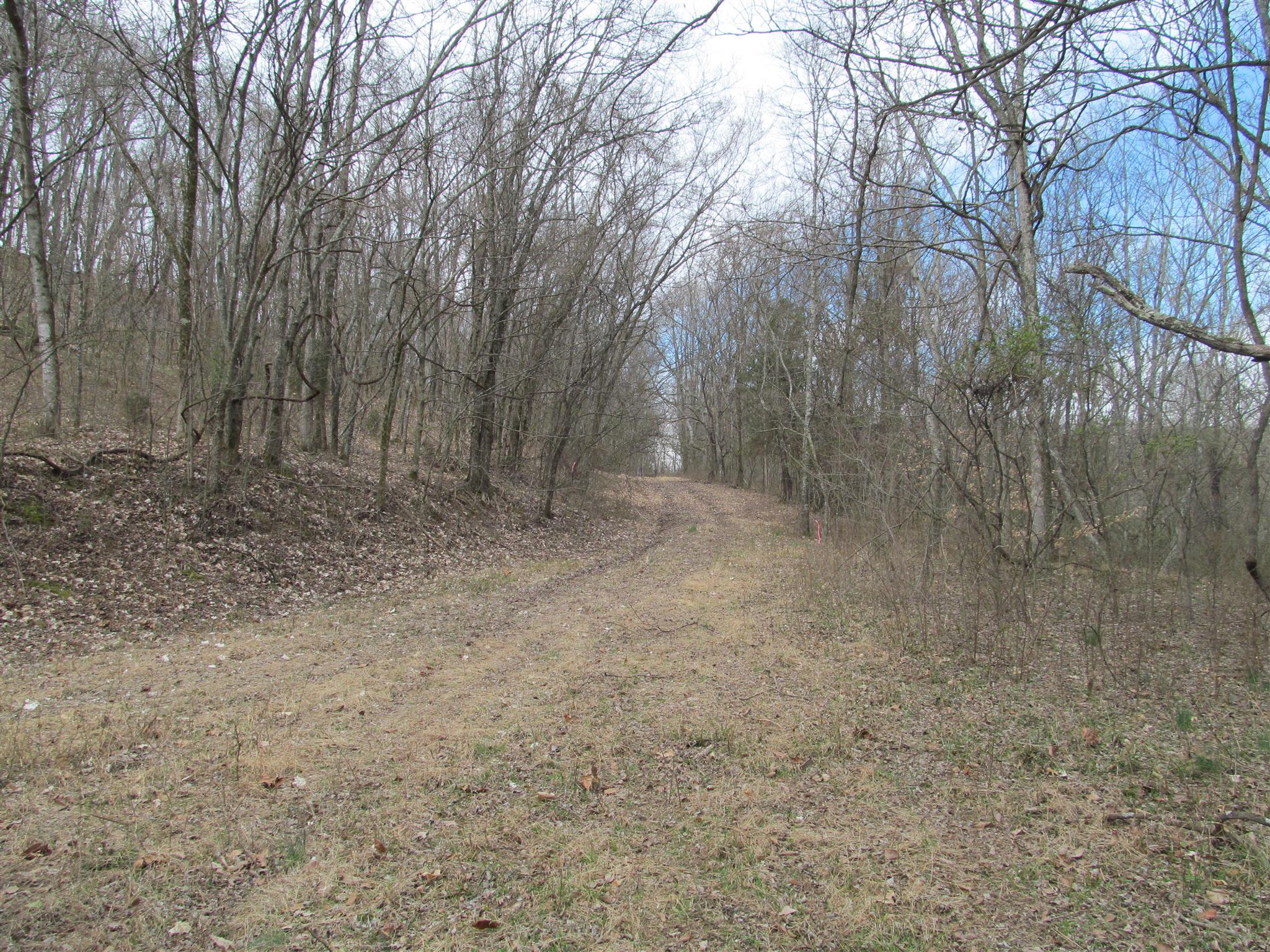 0 Lusk Road Columbia, TN 38401 - Photo 3 of 4 Gallery Image 3