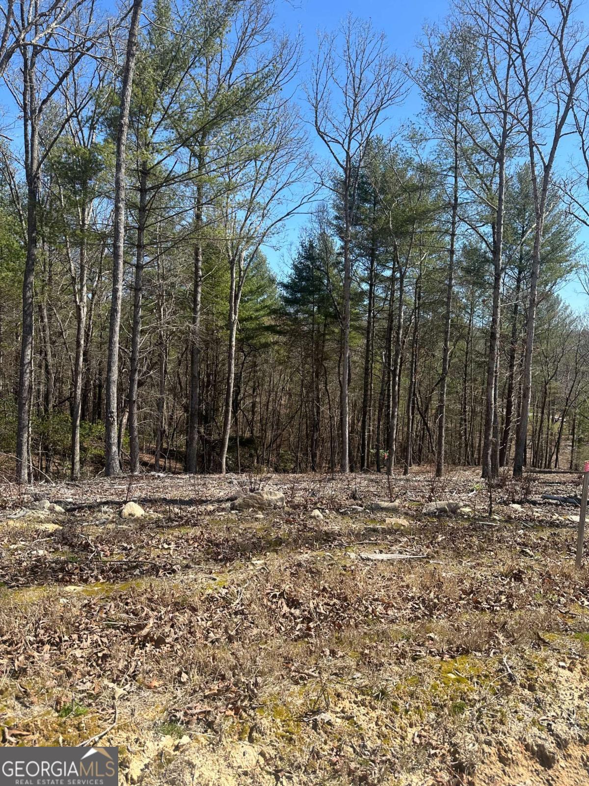 Lot 188 The Ridges Morganton, GA 30560 - Photo 2 of 10 a view of dirt yard with large trees