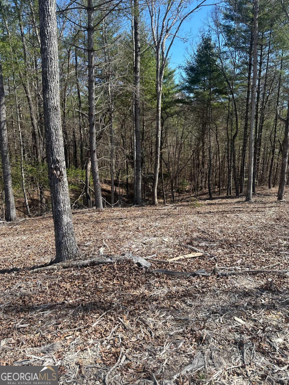 Lot 188 The Ridges Morganton, GA 30560 - Photo 3 of 10 a backyard of a house with lots of green space