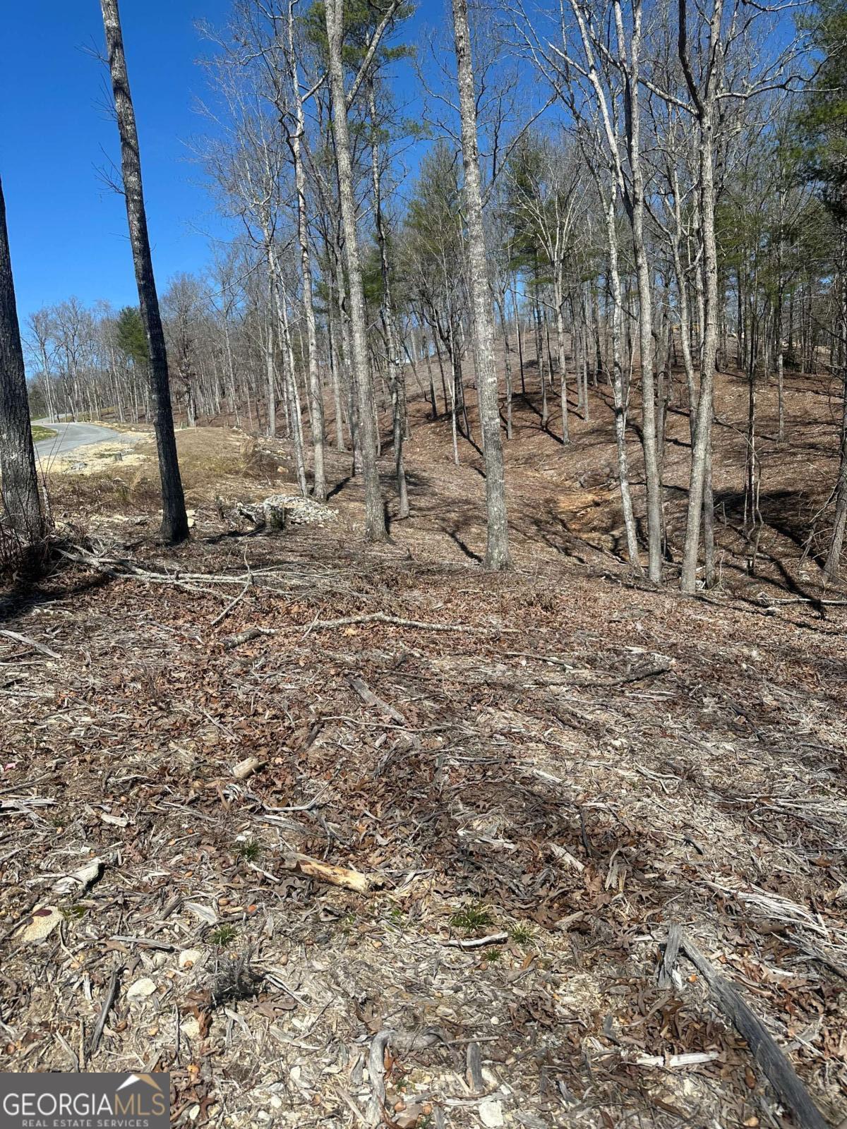 Lot 188 The Ridges Morganton, GA 30560 - Photo 4 of 10 a view of a backyard with large trees