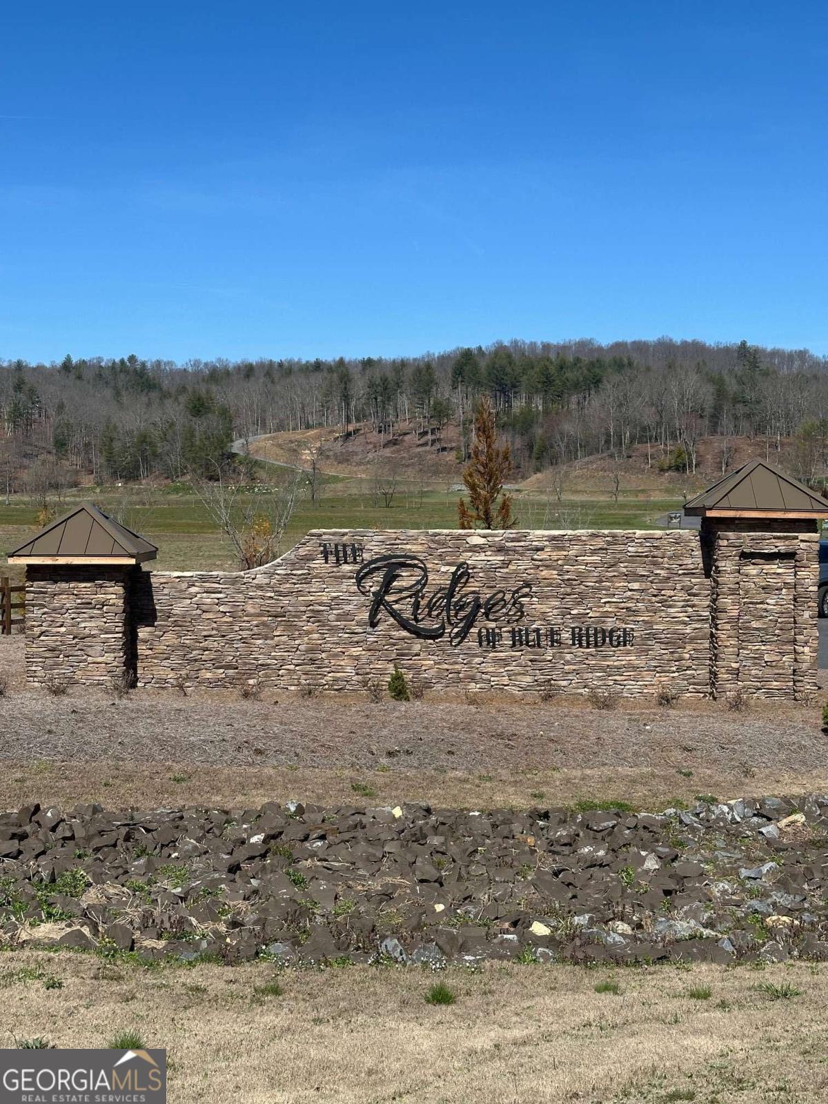 Lot 188 The Ridges Morganton, GA 30560 - Photo 10 of 10 a view of lake with mountain