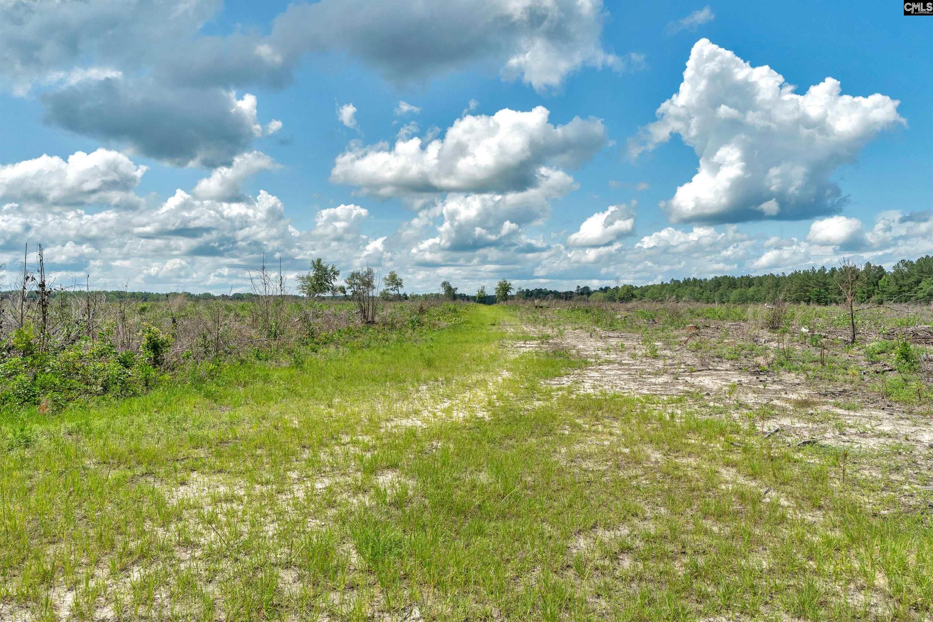 0 North Brewington Road, Unit 3C Manning, SC 29102 - Photo 33 of 43 Gallery Image 33