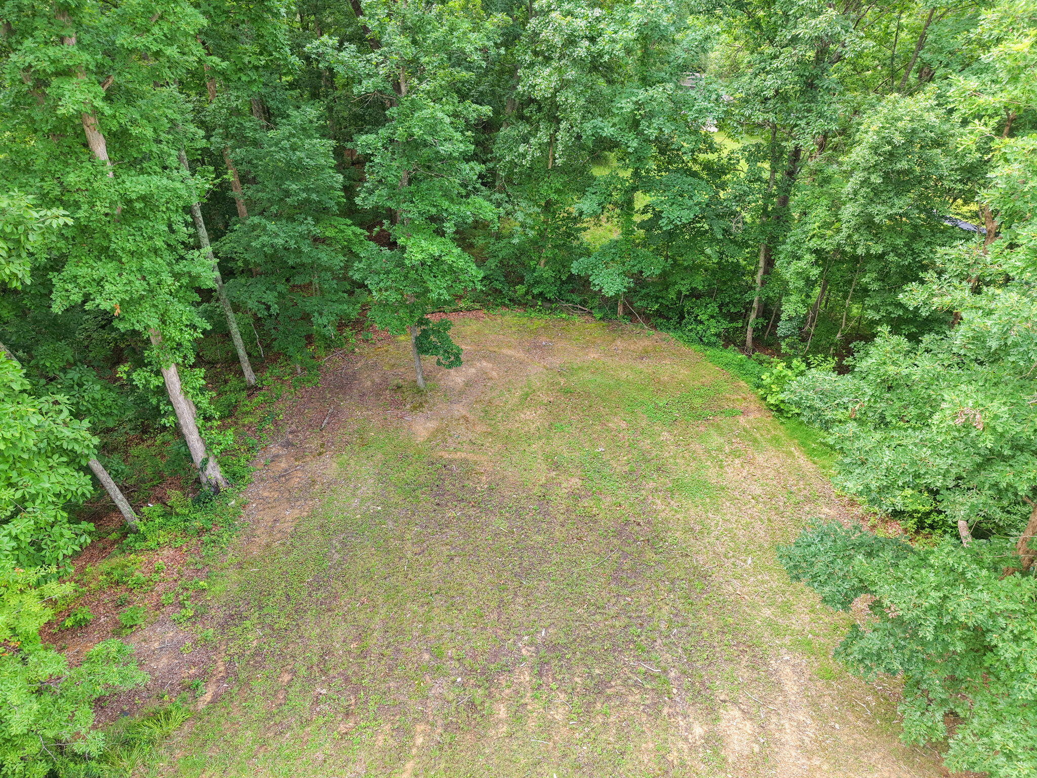 414 Coldiron Hollow Morehead, KY 40351 - Photo 13 of 50 63-web-or-mls-DJI_20260629110901_0528_D