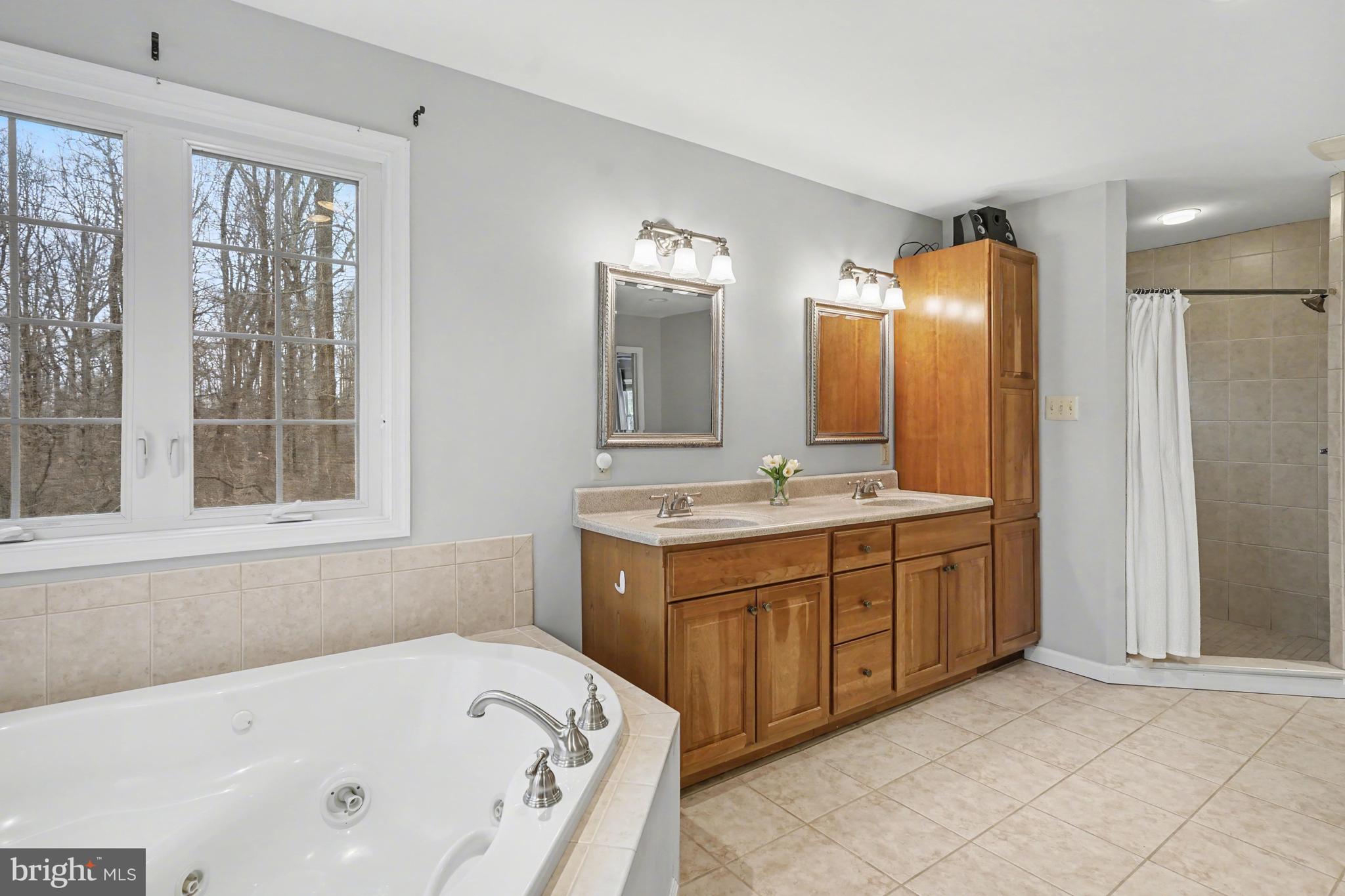 219 Twining Road Lansdale, PA 19446 - Photo 24 of 39 a bathroom with a tub sink and mirror