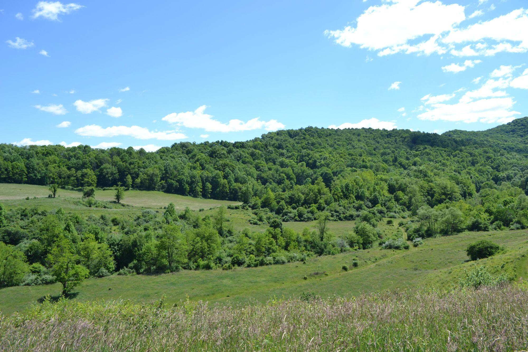 275 Old US 219 Road Buckeye, WV 24924 - Photo 67 of 72 Gallery Image 67
