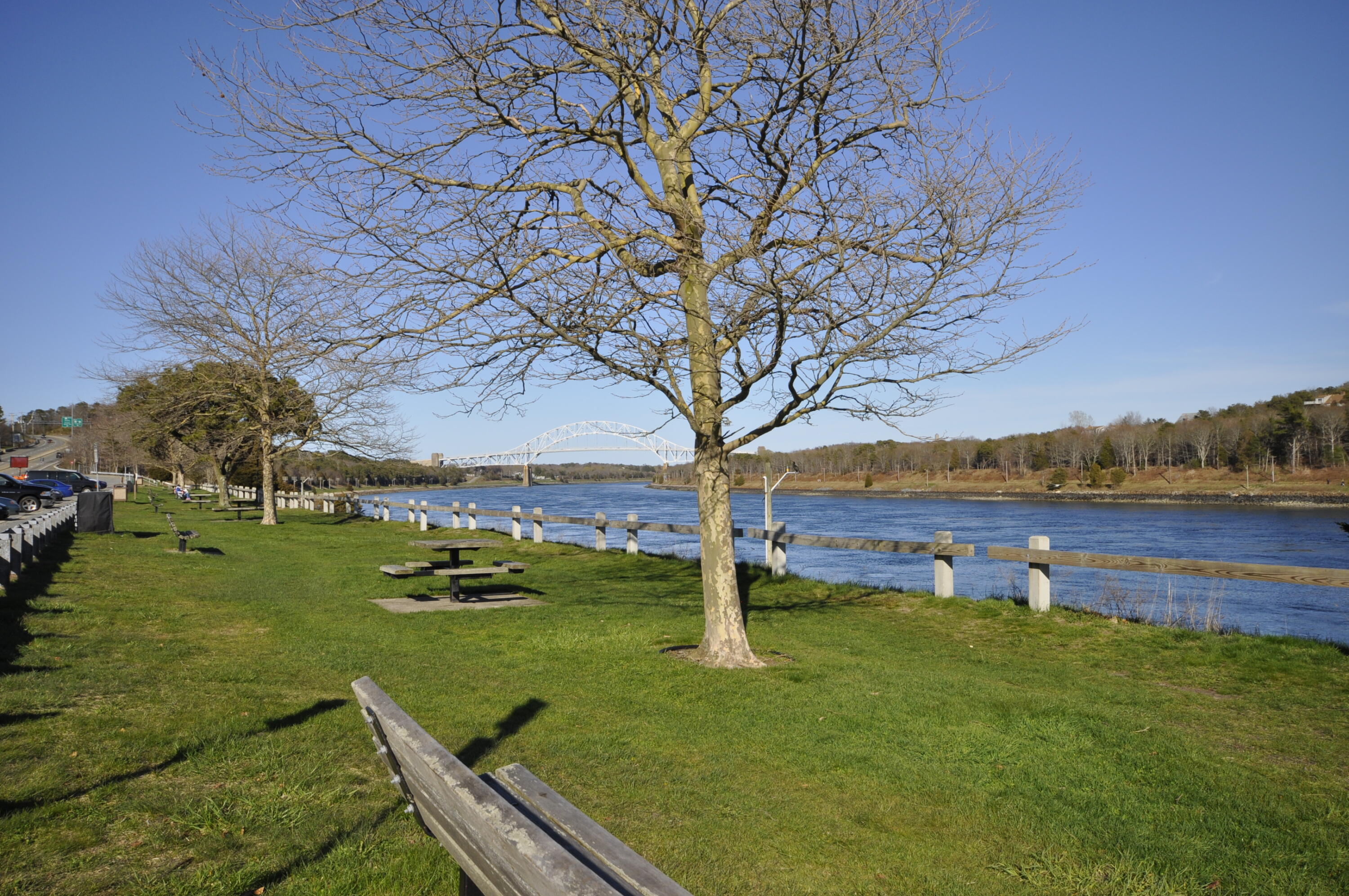 6 Bournedale Road, Unit 6B 2 Buzzards Bay, MA 02532 - Photo 29 of 36 a view of yard with swimming pool and green space