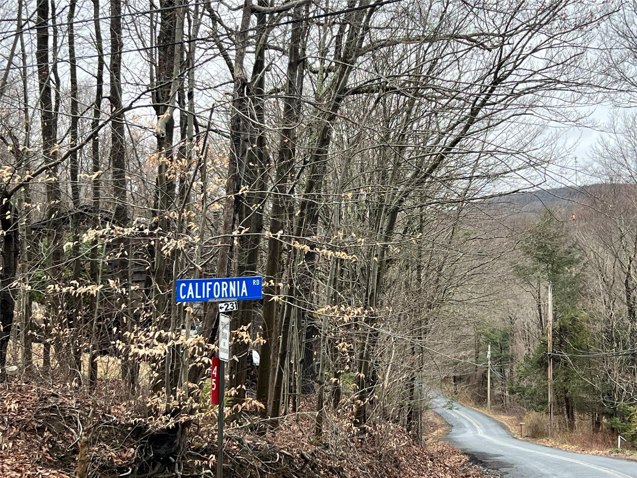 41 California Road Warwick, NY 10990 - Photo 2 of 6 View of street with a view of trees