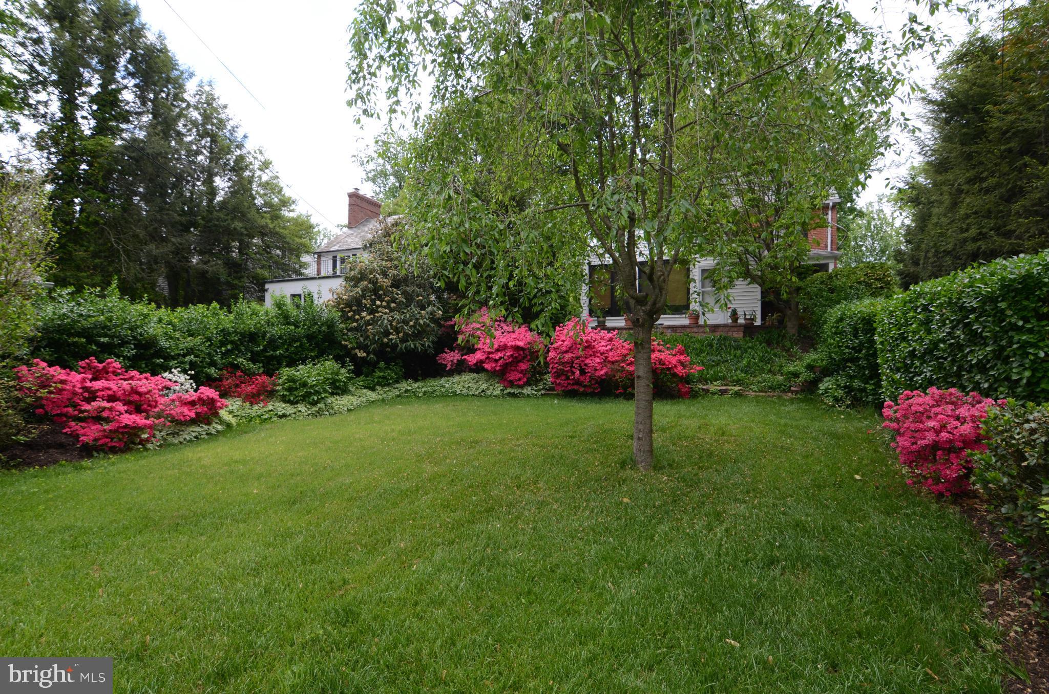5805 Kenmore Road Baltimore, MD 21210 - Photo 22 of 25 Yard