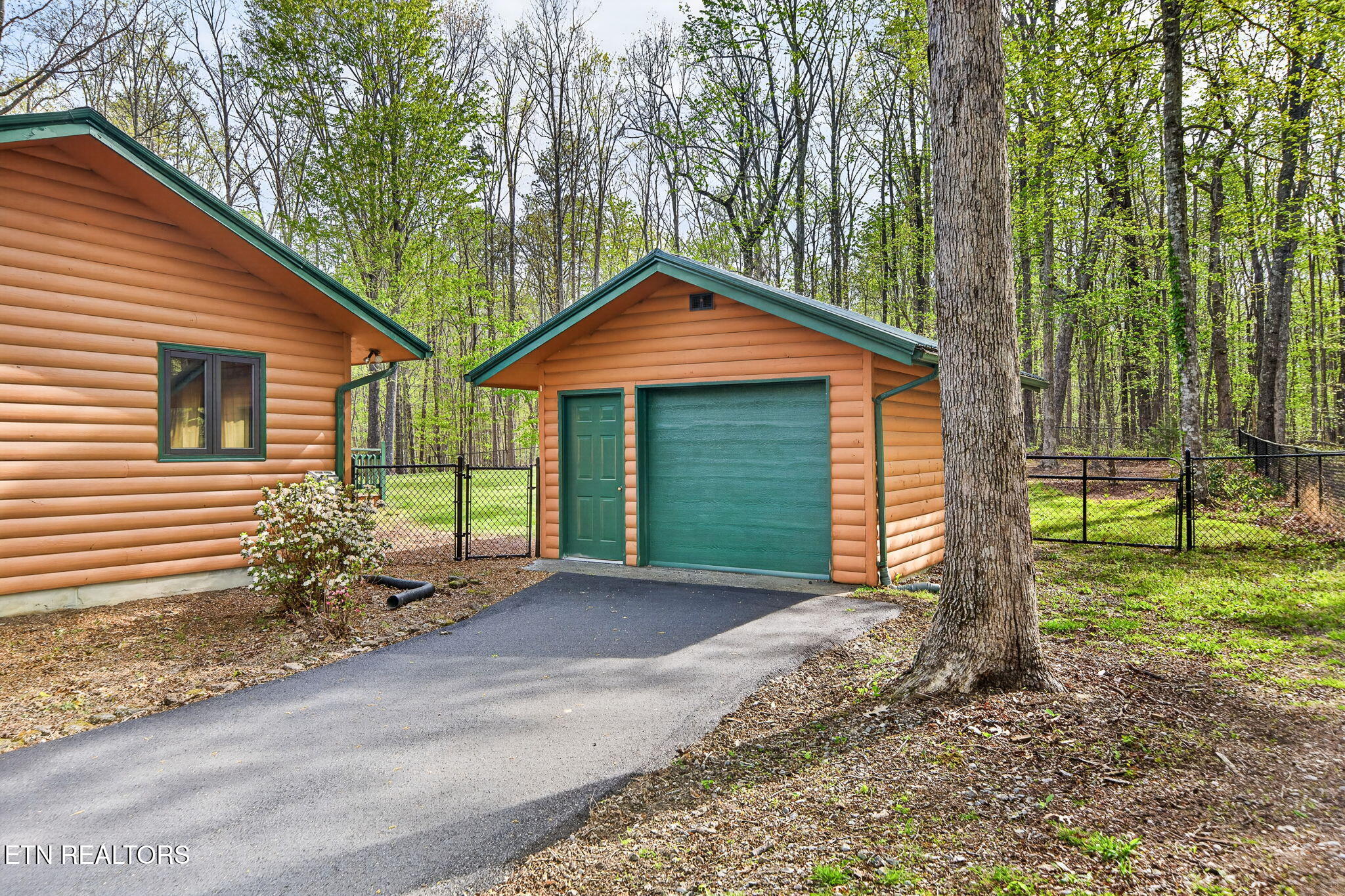 1535 East Overlook Road Monterey, TN 38574 - Photo 14 of 42 18-web-or-mls-1535 E Overlook Rd_104_TNP