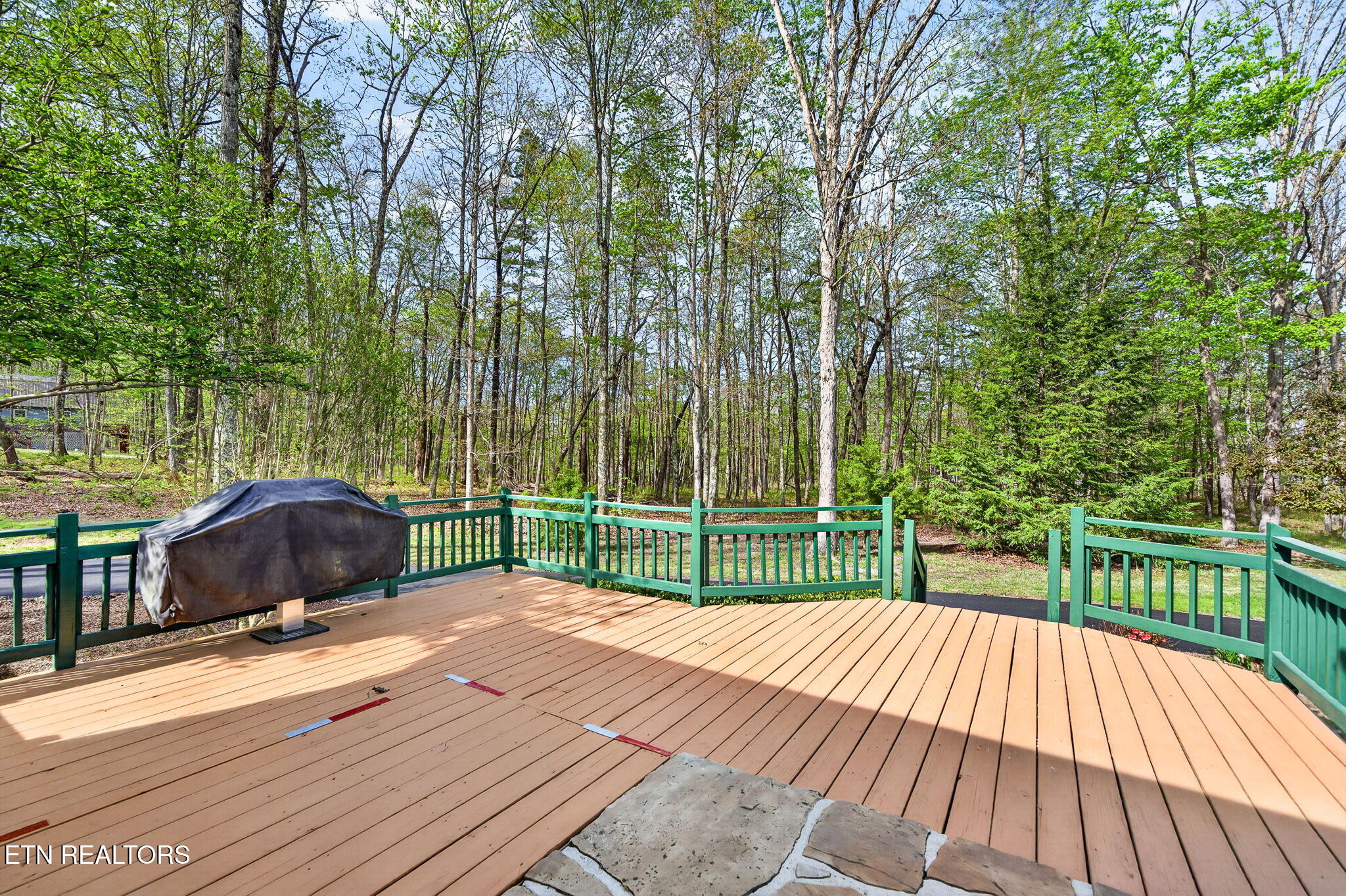 1535 East Overlook Road Monterey, TN 38574 - Photo 16 of 42 20-web-or-mls-1535 E Overlook Rd_113_TNP