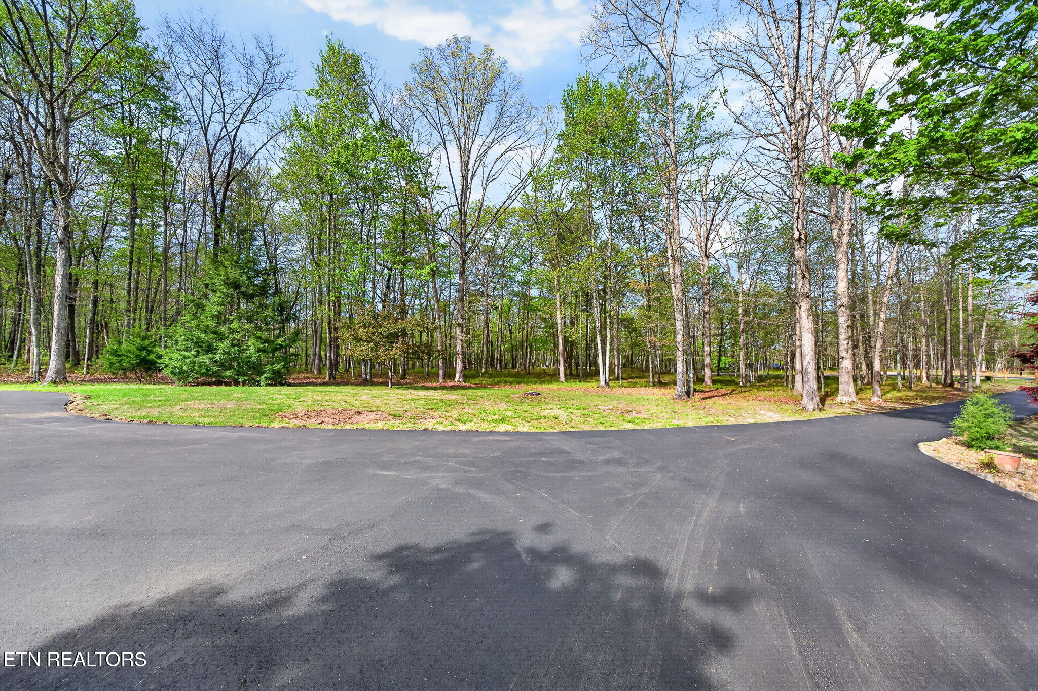 1535 East Overlook Road Monterey, TN 38574 - Photo 5 of 42 6-web-or-mls-1535 E Overlook Rd_042_TNPC