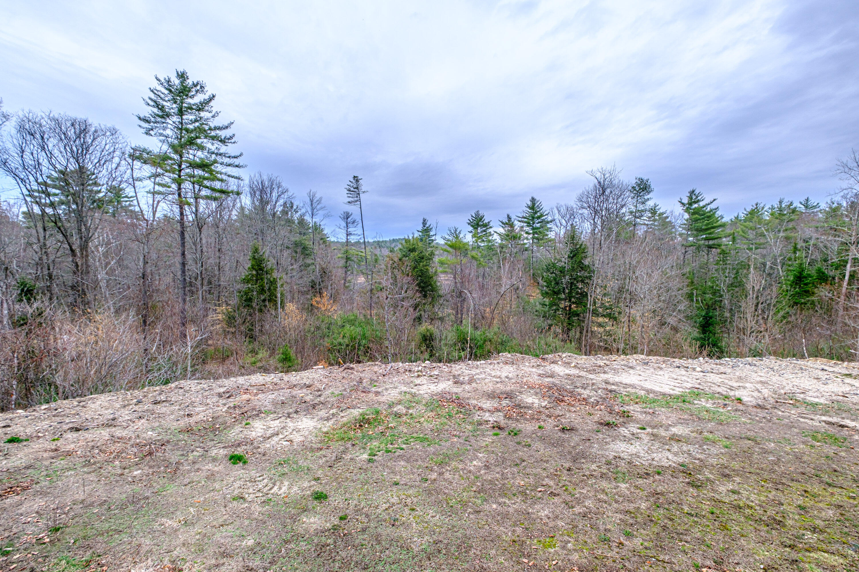 515 Bickford Pond Road Porter, ME 04068 - Photo 3 of 50 20260413gp-61046