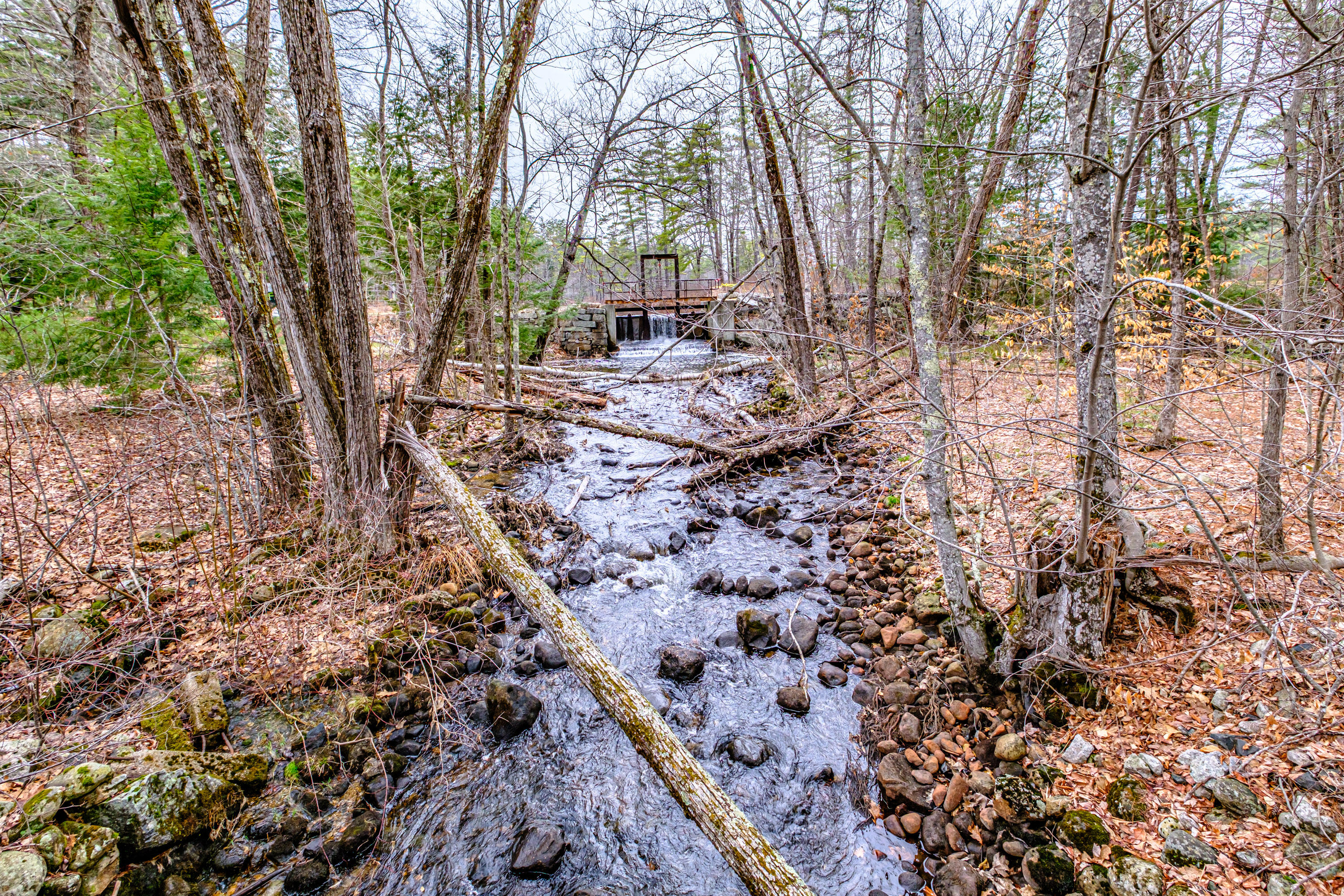 515 Bickford Pond Road Porter, ME 04068 - Photo 4 of 50 20260413gp-61053