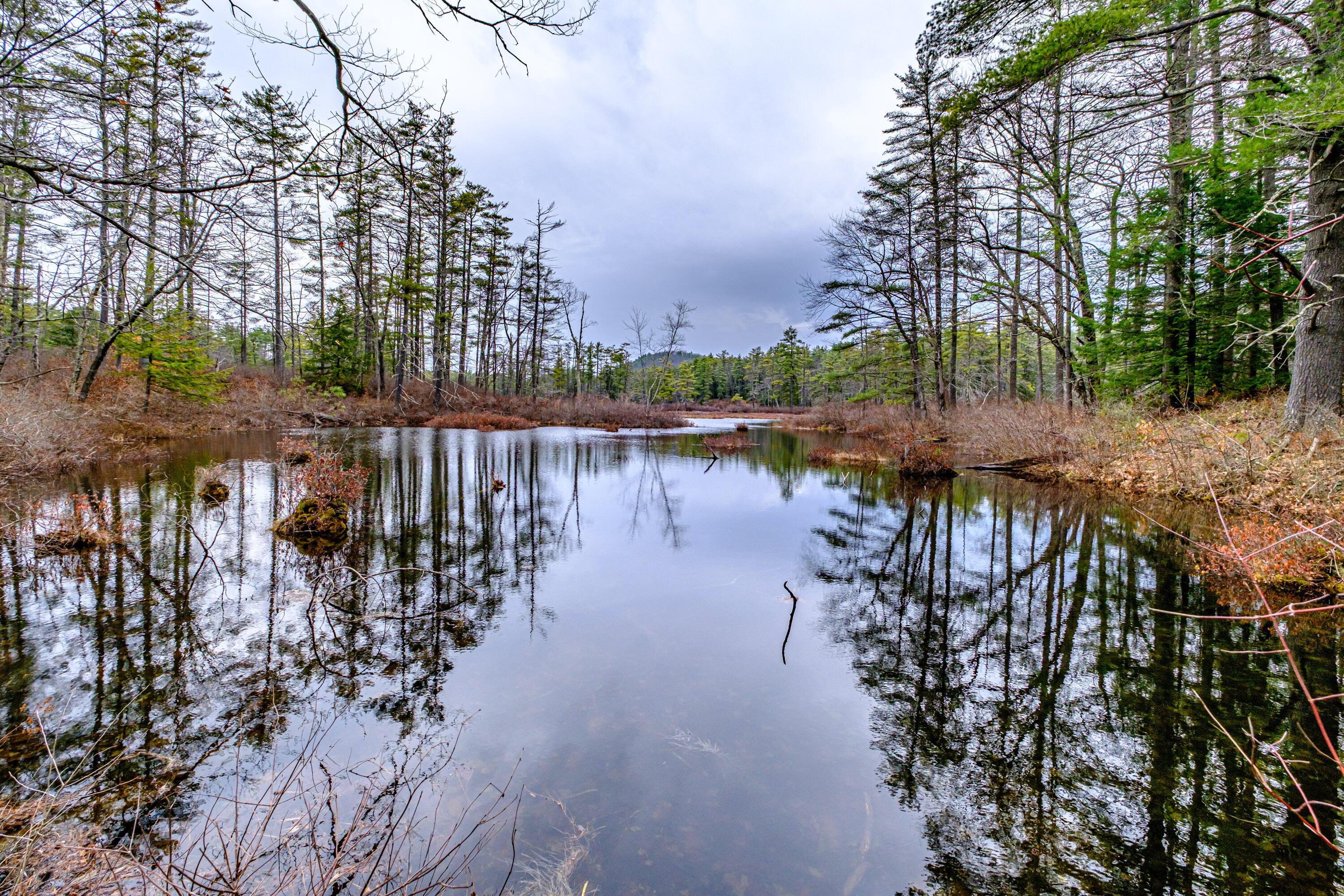 515 Bickford Pond Road Porter, ME 04068 - Photo 48 of 50 20260413gp-61054