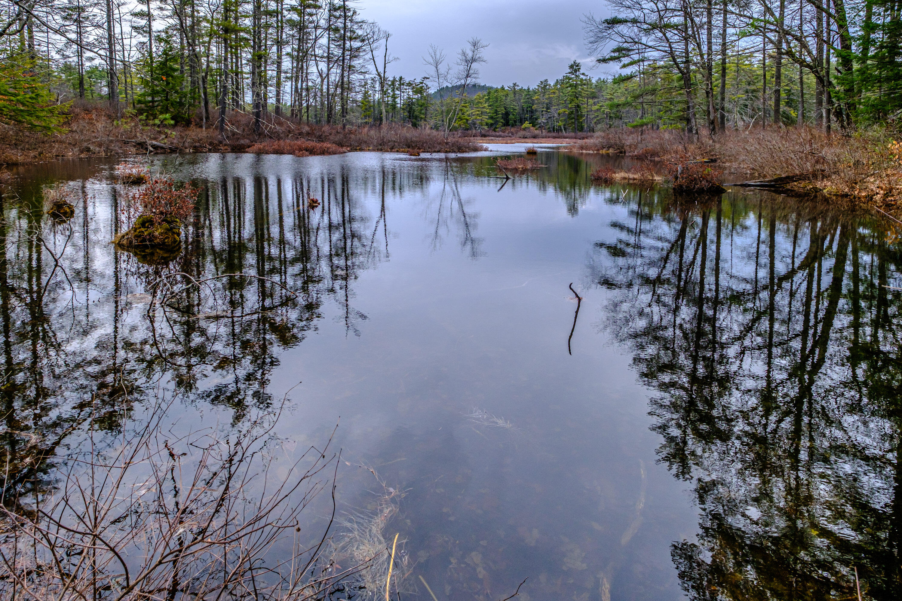 515 Bickford Pond Road Porter, ME 04068 - Photo 49 of 50 20260413gp-61055