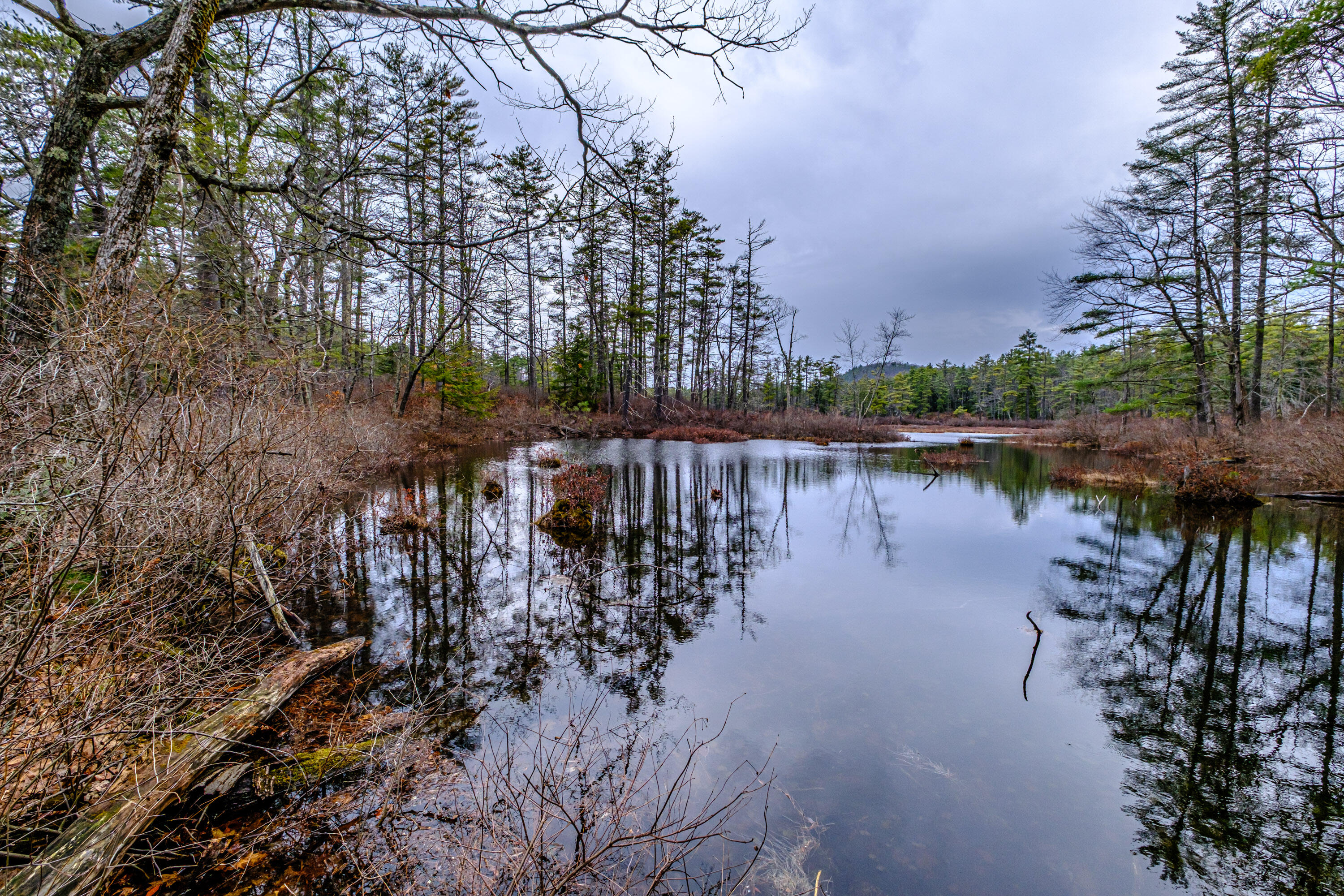 515 Bickford Pond Road Porter, ME 04068 - Photo 50 of 50 20260413gp-61056