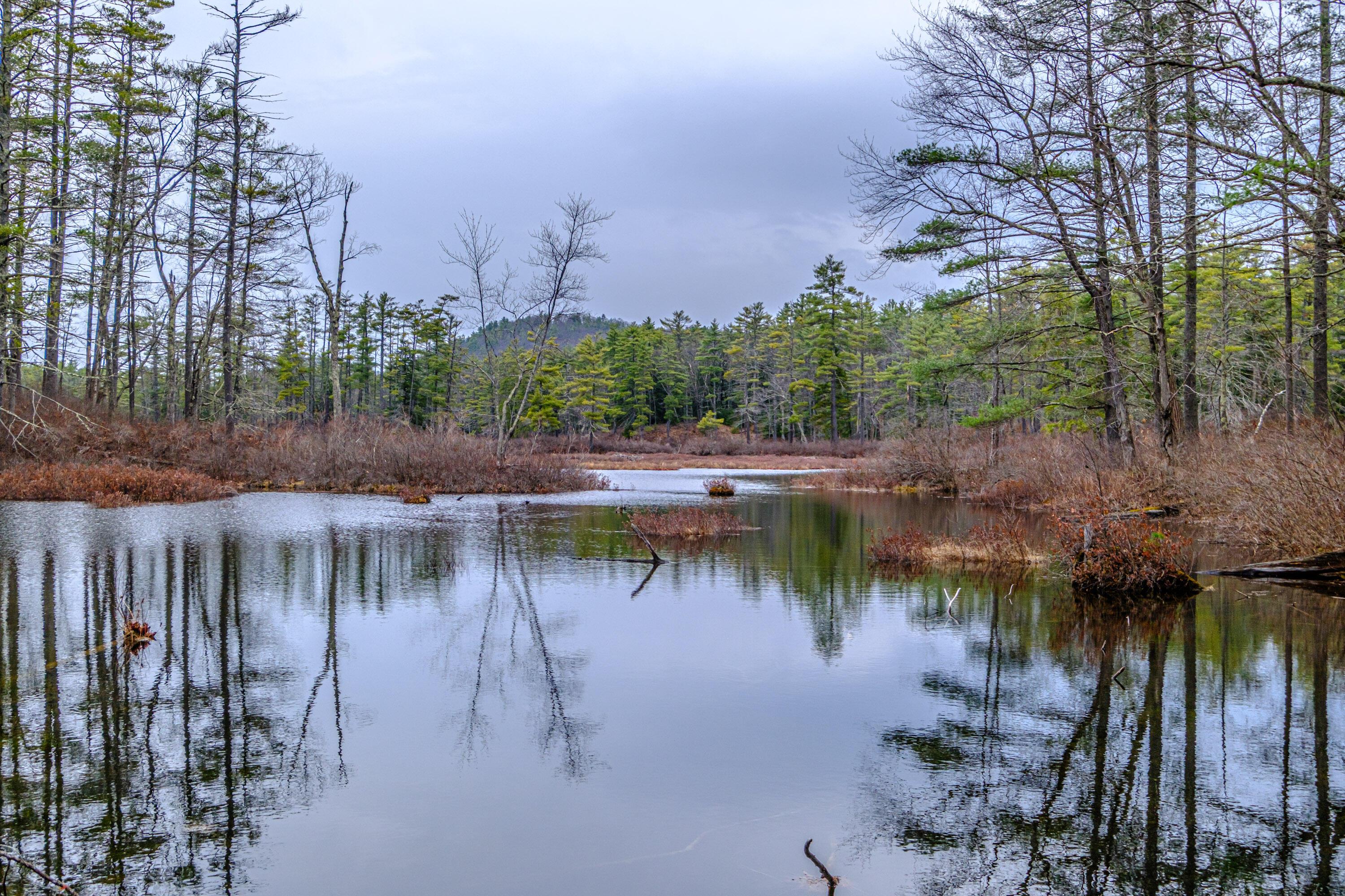 515 Bickford Pond Road Porter, ME 04068 - Photo 5 of 50 20260413gp-61057