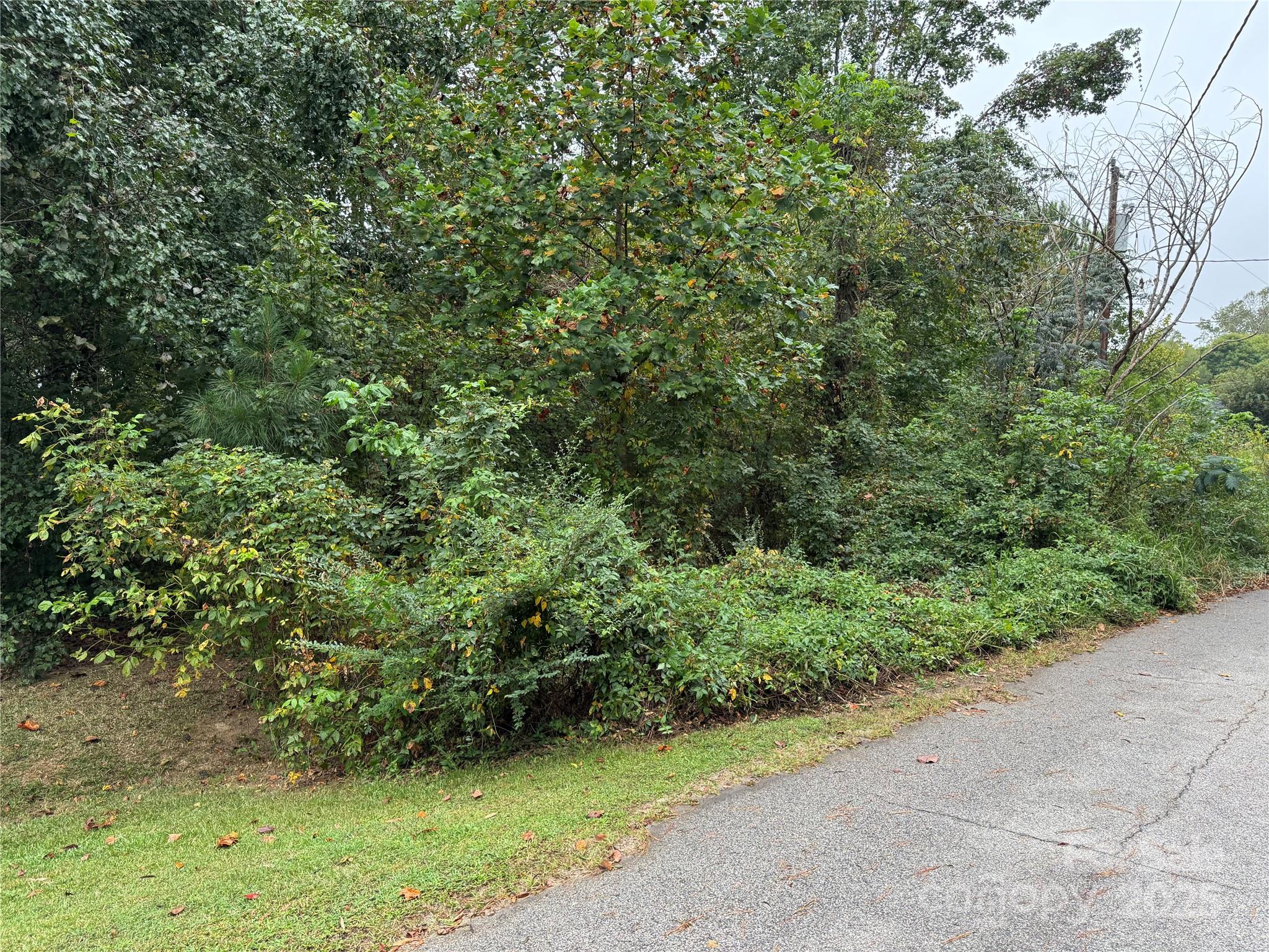214 Nottingham Street York, SC 29745 - Photo 2 of 5 a view of a lush green forest
