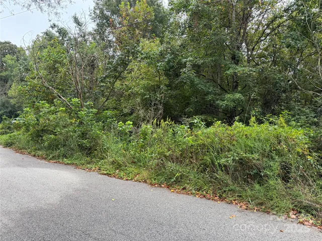 a view of a forest with a street