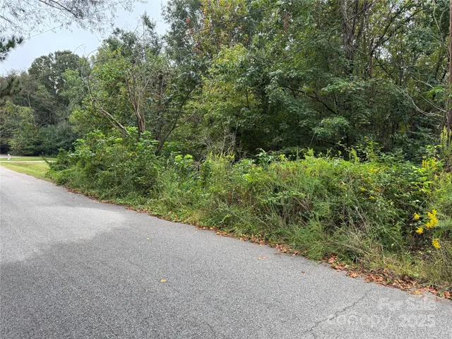 a view of a forest with a street
