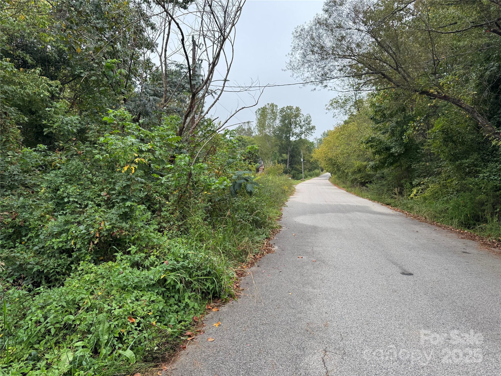 214 Nottingham Street York, SC 29745 - Photo 5 of 5 a view of bushes and pathway
