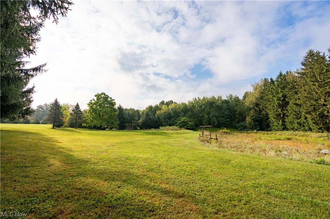 13039 Doylestown Road Rittman, OH 44270 - Photo 20 of 21 backyard
