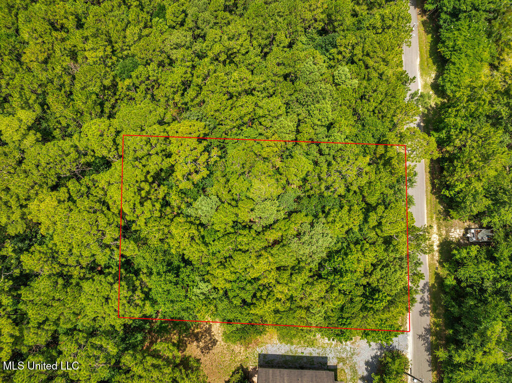 Julia Street Bay St. Louis, MS 39520 - Photo 11 of 11 DJI_0906