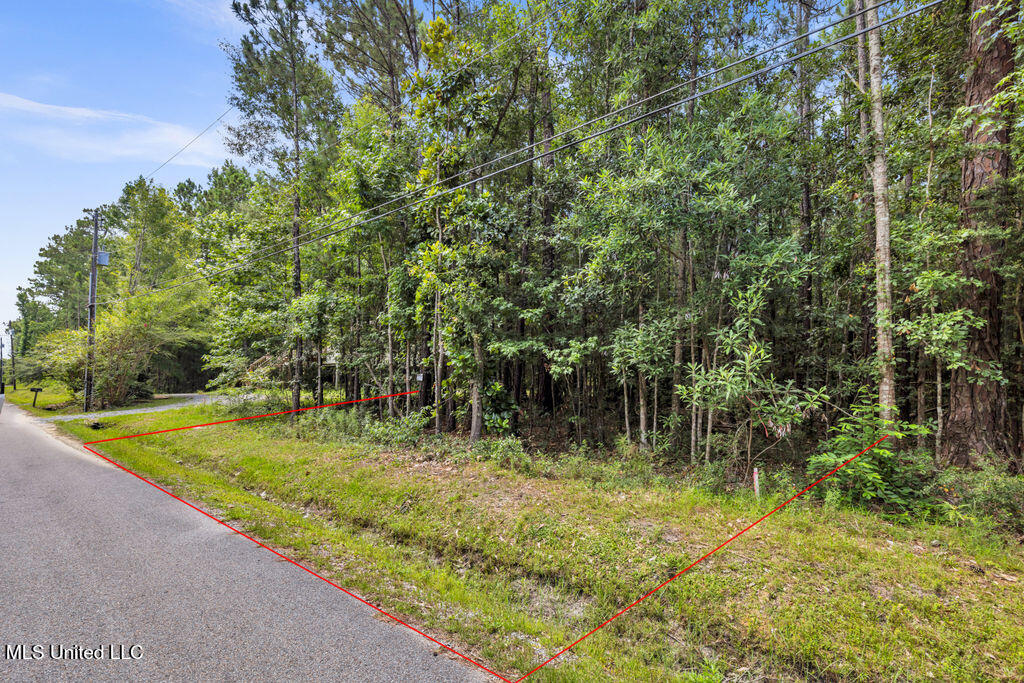 Julia Street Bay St. Louis, MS 39520 - Photo 2 of 11 _MG_0389