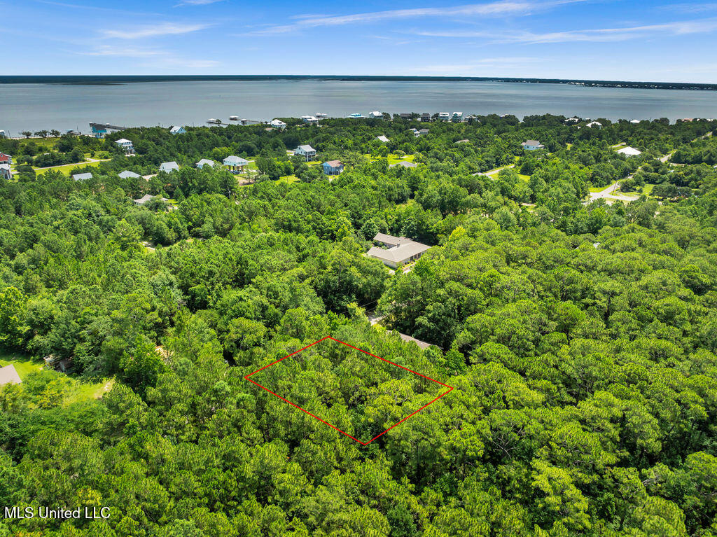 Julia Street Bay St. Louis, MS 39520 - Photo 6 of 11 DJI_0901