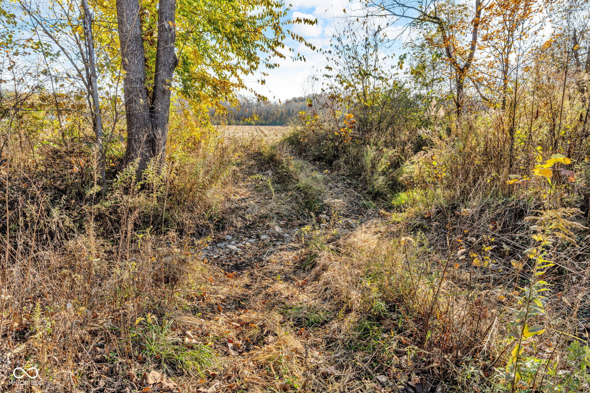 2076 Cartersburg Road Clayton, IN 46118 - Photo 21 of 21