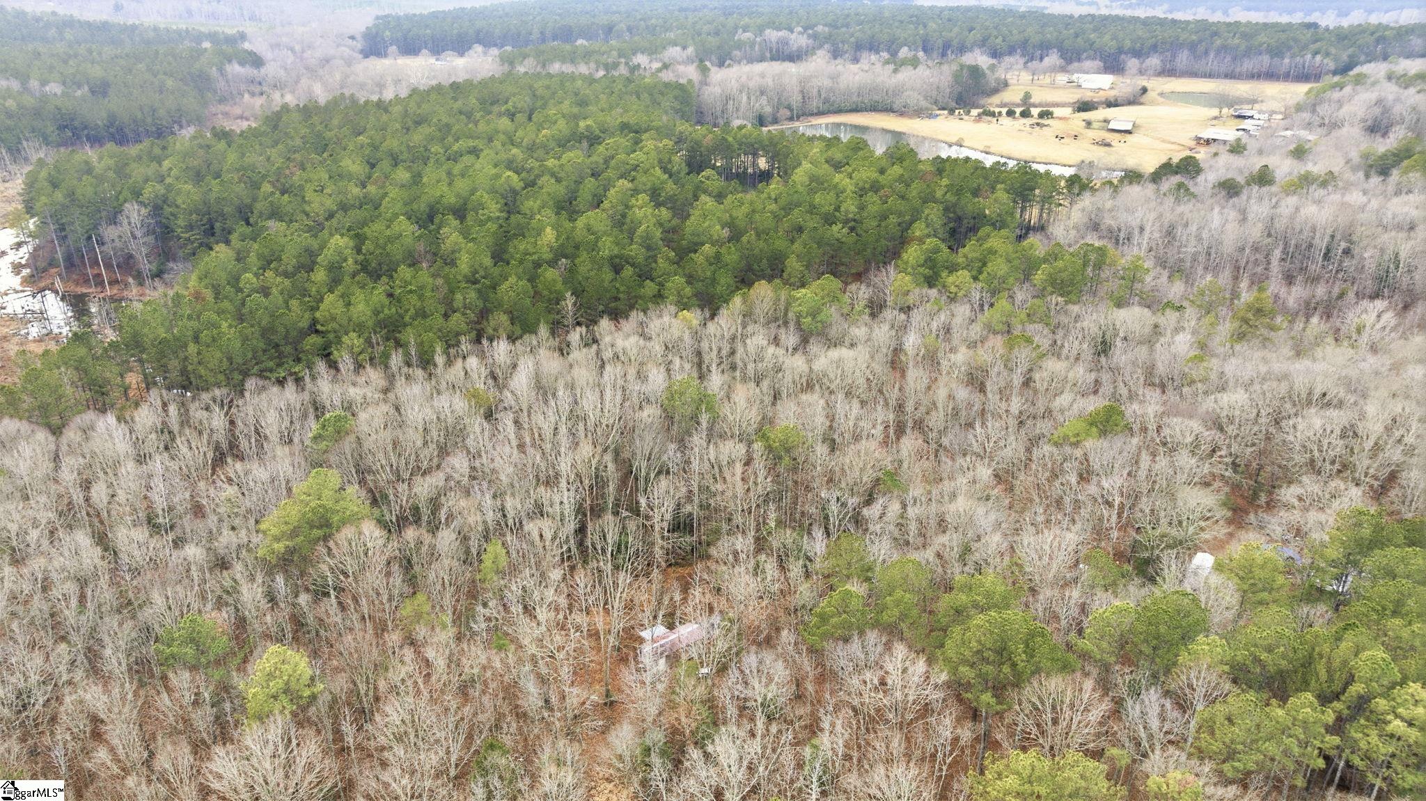 0 Ellison Road Belton, SC 29627 - Photo 13 of 18 Gallery Image 13