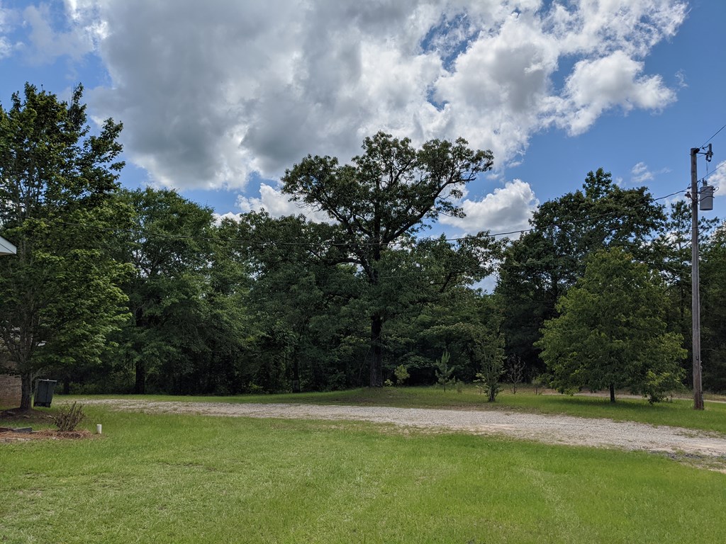 151 Steeplechase Road Cusseta, GA 31805 - Photo 4 of 30 Gallery Image 4
