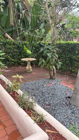 a view of a yard with plants and trees