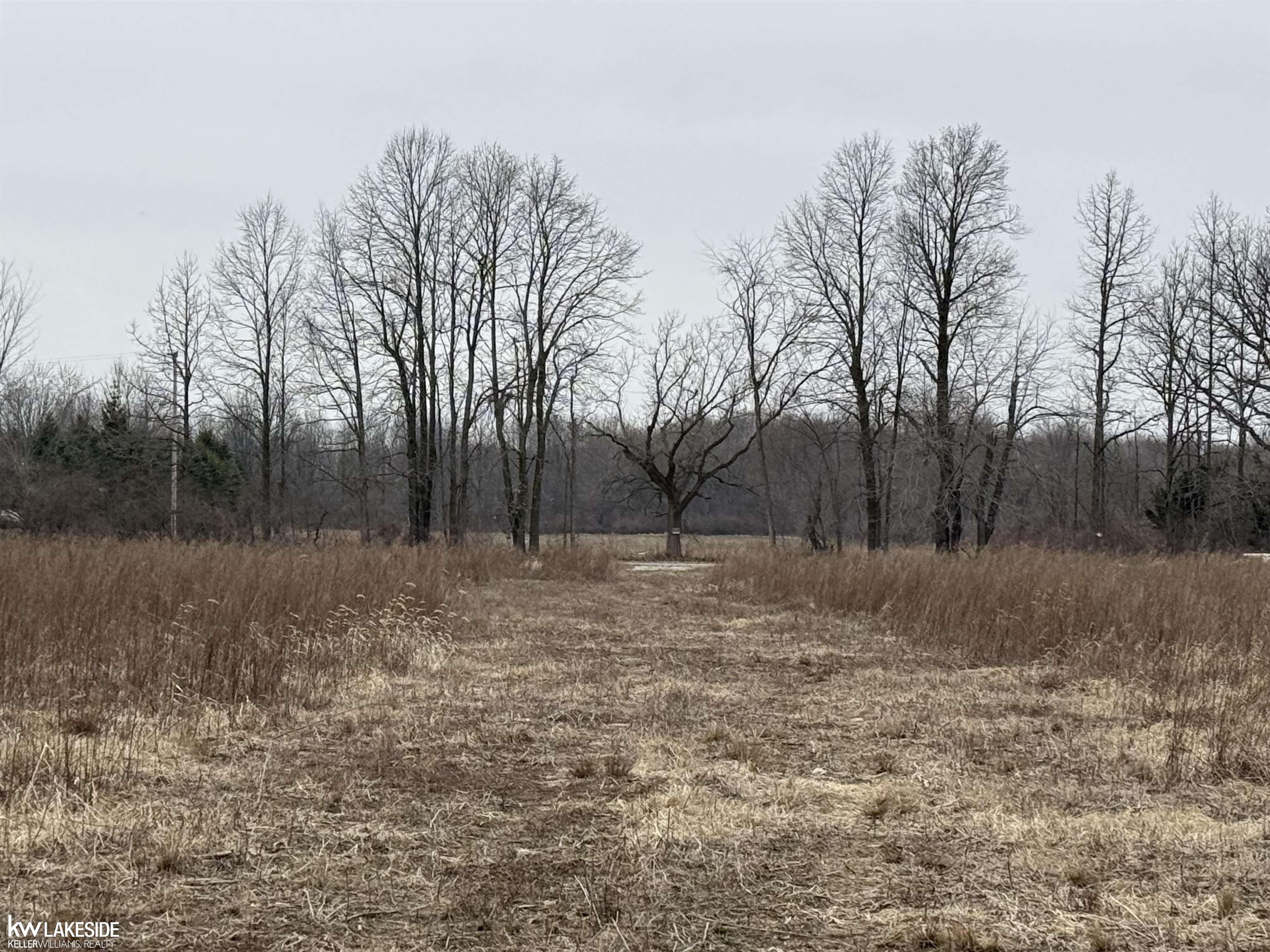 0 Cove Road Goodells, MI 48027 - Photo 15 of 25