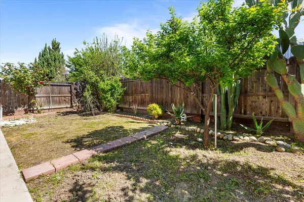 a view of a backyard with tree