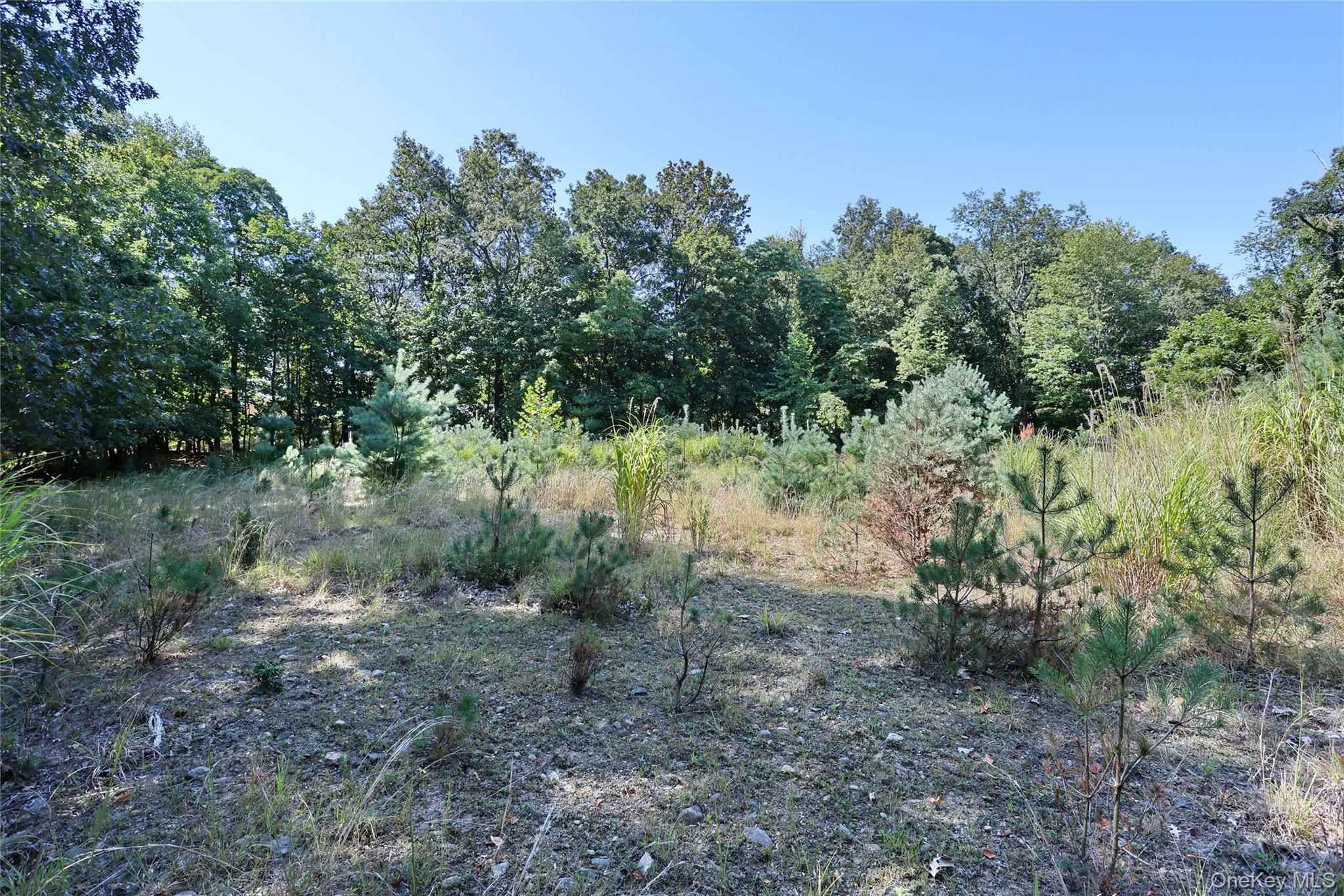 6 Bellows Lane Chestnut Ridge, NY 10952 - Photo 6 of 10 a view of a yard