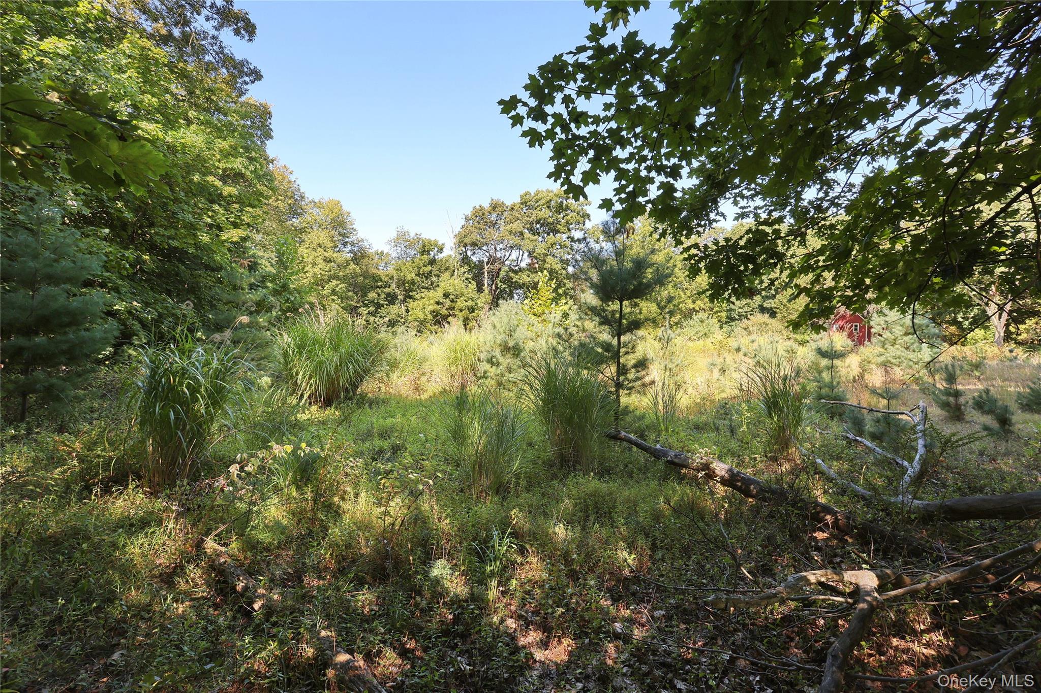 6 Bellows Lane Chestnut Ridge, NY 10952 - Photo 7 of 10 a view of a yard