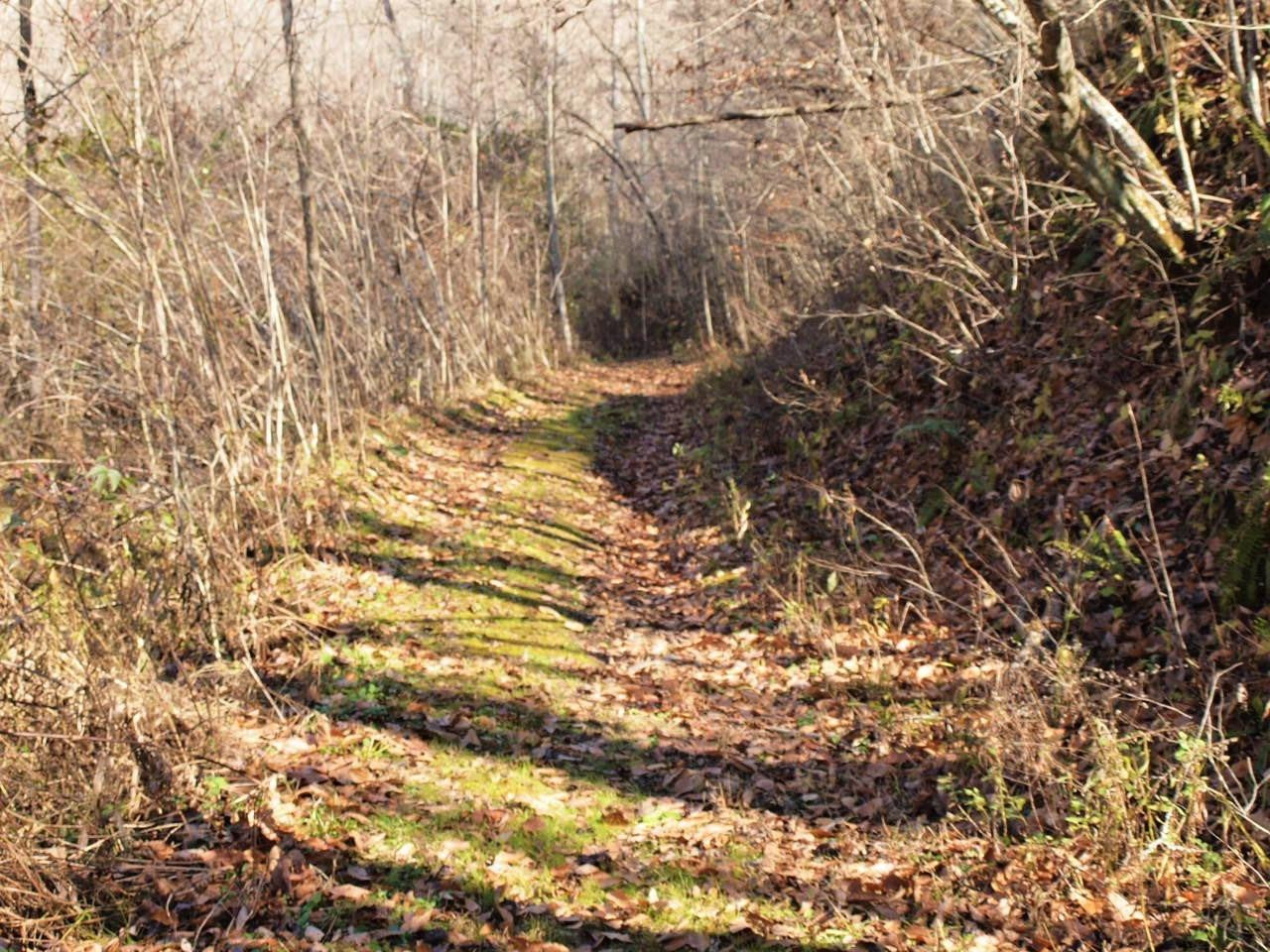 344 Garnet Cemetery Road Green Road, KY 40946 - Photo 21 of 30 Photo 21