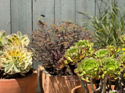 $1,295,000 | 4545 18th Street, San Francisco, CA 94114
