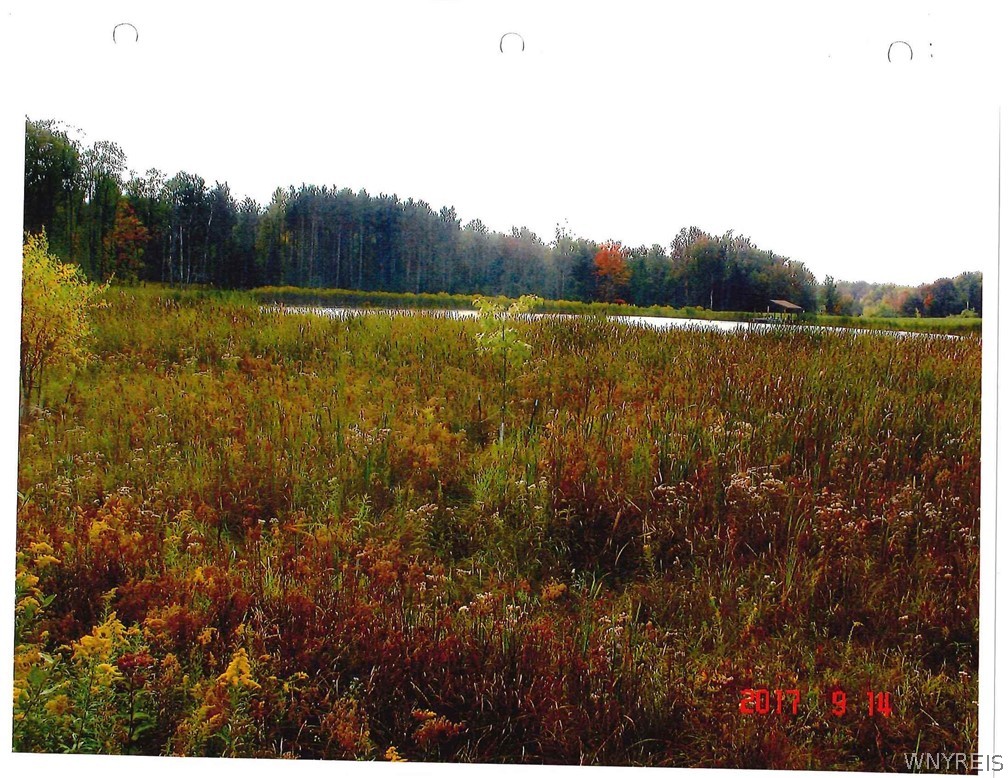 0 Rt-77 Java Center Java Center, NY 14082 - Photo 11 of 18 Meadow with wildflowers in summer