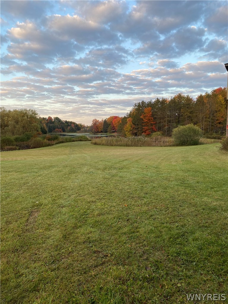0 Rt-77 Java Center Java Center, NY 14082 - Photo 13 of 18 Summer photo