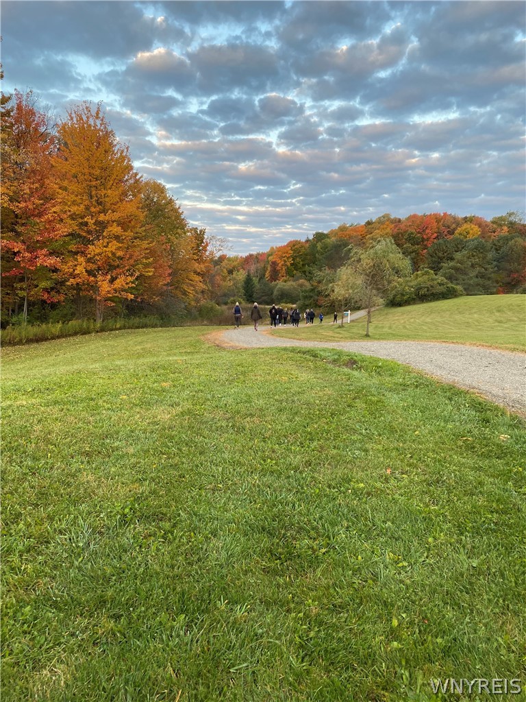 0 Rt-77 Java Center Java Center, NY 14082 - Photo 14 of 18 Summer photo