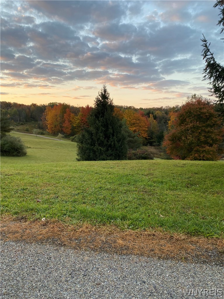 0 Rt-77 Java Center Java Center, NY 14082 - Photo 15 of 18 Summer photo